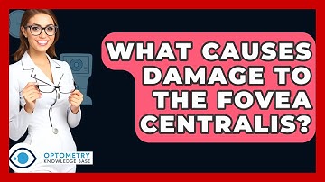 What Causes Damage To The Fovea Centralis? - Optometry Knowledge Base