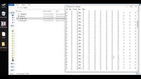 Many-Facet Rasch Measurement Using Facets Software
