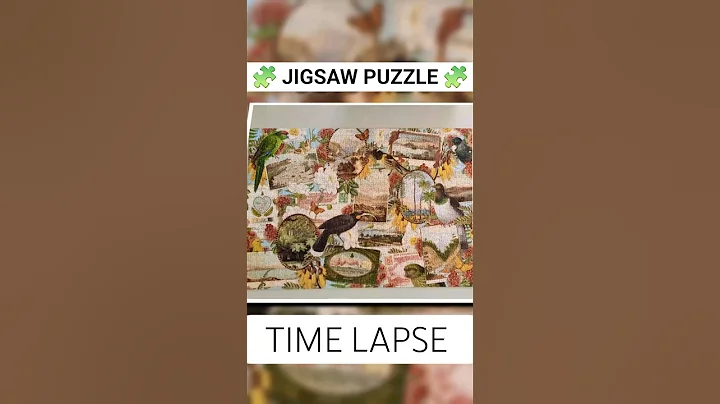New Zealand Vintage Postcards - 1000 pieces Jigsaw Puzzle Time Lapse