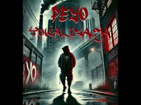 Peyo - ŻYCIE NA WALIZKACH (Prod. MROKU PORA)