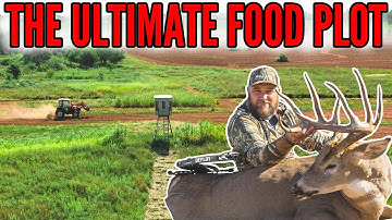 The Ultimate Food Plot to Shoot a BIG BUCK (in our opinion)