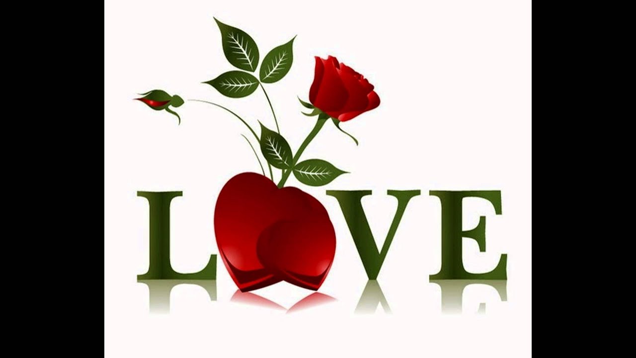Happy Rose Day Wallpapers 2015 | Rose day 2015