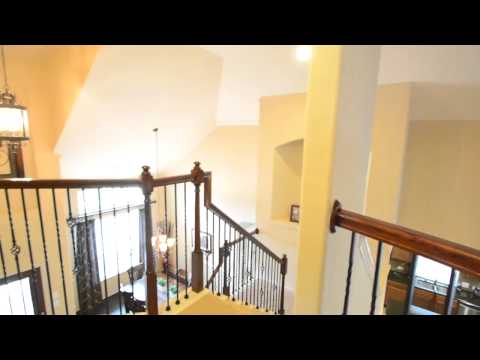 28618 Wing Elm