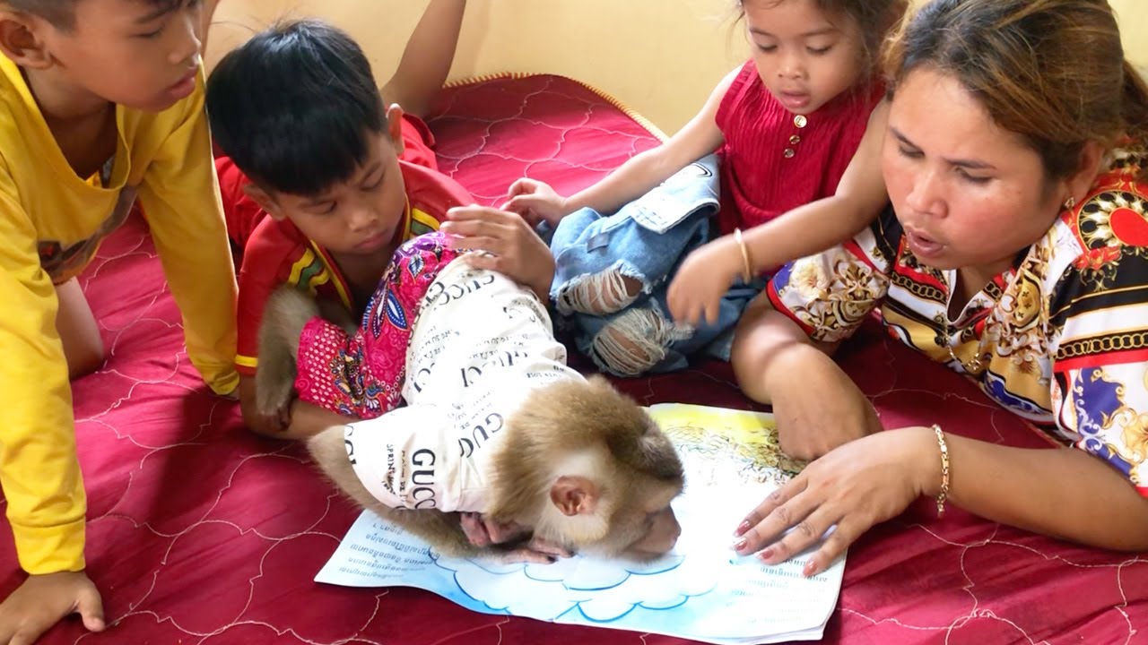 Little Jason Keenly Interest Listen Mom Read Fairy Tales When Brother Here
