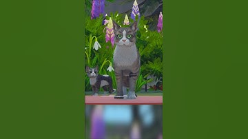 You need this cat in your Unity game #Unity3D #unityassetstore
