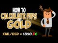 Comment calculer correctement les pips sur xauusd gold 