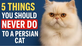 5 Things You Should NEVER Do to a Persian Cat