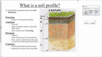 AP Environmental Science (APES) Soil Horizons