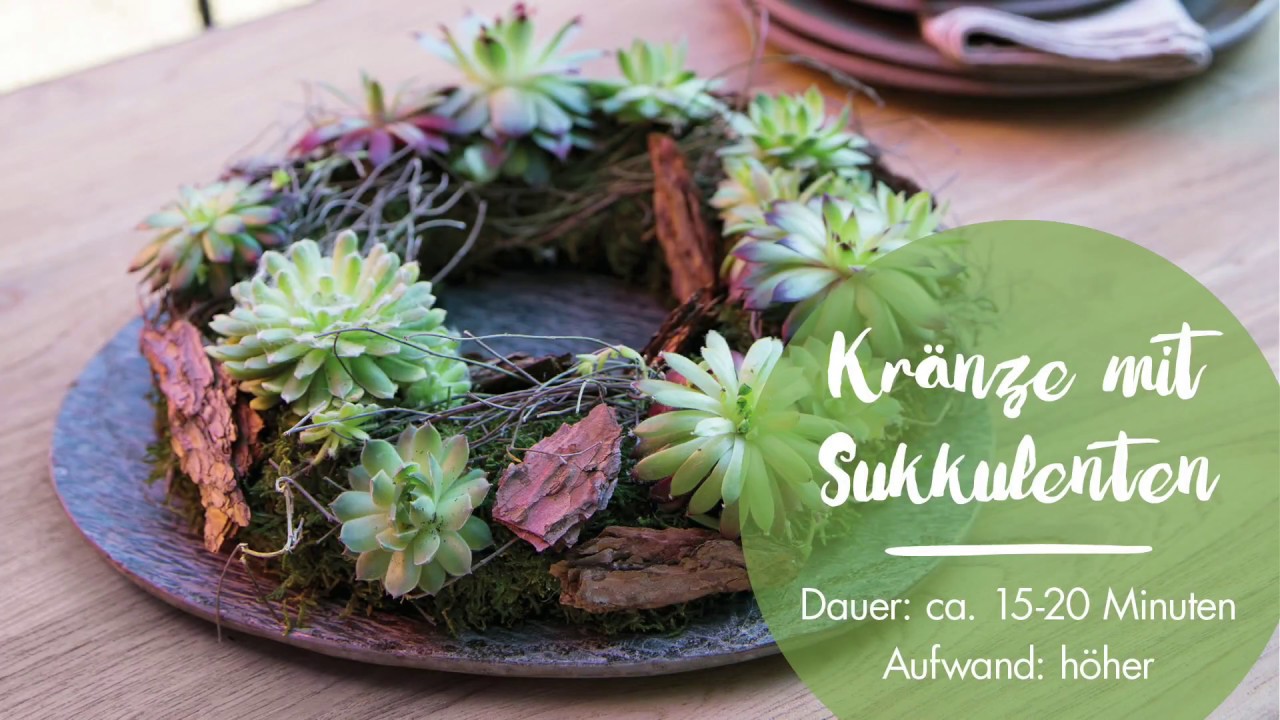 Tendence.Impulse | Aktion „Sukkulenten Kranz – Green your life!“ – Schritt-für-Schritt Anleitung