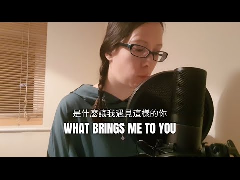 是什麼讓我遇見這樣的你 (What Brings Me To You) 安白 Ann Bai Cover