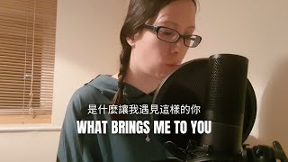 是什麼讓我遇見這樣的你 (What Brings Me To You) 安白 Ann Bai Cover