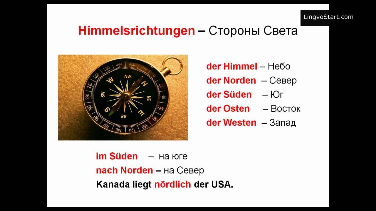 Названия сторон на английском. Строение человека на английском языке. Английский язык лицо человека. Стороны света на немецком. Названия сторон на английском.