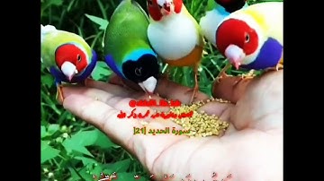 تلاوة خاشعة ومؤثرة جدا للقارئ المتميز إسلام صبحي للآية الكريمة :سابقوا إلى مغفرة من ربكم...