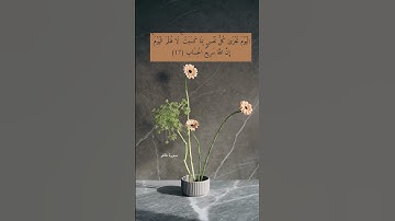 آية ١٧ "اليوم تجزى كل نفس بما كسبت" من سورة غافر | اللهم إنا نعوذ بك من ظلم أنفسنا أو عبادك