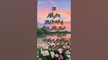 تلاوة خاشعة من سورة هود الآية 28 │ قصة نوح عليه السلام وصبره على قومه