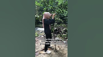 Soil Sampling using Auger