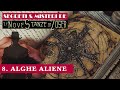 ALGHE ALIENE - Segreti e Misteri delle Nove Stanze di Zoser