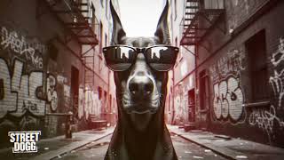 ZEKI WILL X DON BLOW Hard Trap Type Beat  - "STRAY DOG" | Instrumental 2025