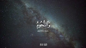 الم ترى ان الله يسجد له من في السموات والارض / القارئ #ياسر_الدوسري🤍