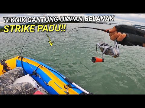 Teknik Gantung Umpan Ikan Belanak Kena STRIKE PADU!! 