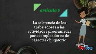 decreto 1127 de 1991