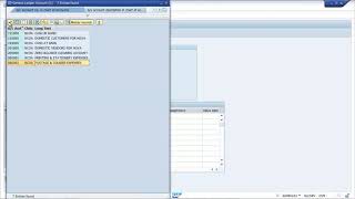 Student Practice Session Gl Posting In Fb50 Sap Fico