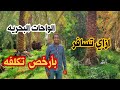 دليلك لزياره الواحات البحريه تكاليف الاقامه المواصلات و الاكل والانشطه