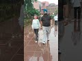 #sadi #jodi #raja #rani #youtube #love #punjabimusic #feel #likeandsubscribe #viralvideo #shorts