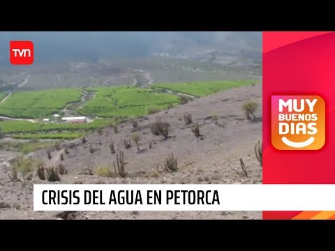 Guerra del agua en Petorca: ¿Por qué solo algunos tienen agua? | Muy buenos días