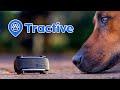 TRACCIATORE GPS DEFINITIVO per il tuo CANE O GATTO! TRACTIVE DOG 6