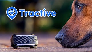 TRACCIATORE GPS DEFINITIVO per il tuo CANE O GATTO! TRACTIVE DOG 6
