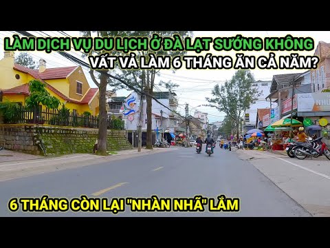 Video LÀM DU LỊCH Ở ĐÀ LẠT NỮA NĂM VẤT VẢ CÀY CUỐC NỮA NĂM... - youtube