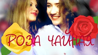 Филипп Киркоров & Маша Распутина | Роза чайная | ПАРОДИЯ |