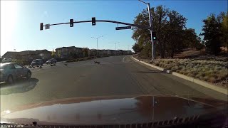 Birds Using the Crosswalk || ViralHog