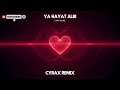 Haifa Wahbe Ya Hayat Albe هيفا وهبى ياحياة قلبى Cyrax Remix
