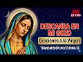 🔴 ROSARIO de HOY y Oraciones de PAZ: Inicia tu Semana en los Brazos de Santa María de Guadalupe 🙏✨