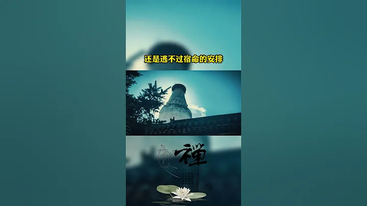初来不知人间苦，回头已是苦中人，这一路的得或失，无论怎么选择，还是逃不过宿命的安排都是红尘悲伤客，莫笑谁是可怜人 - 天天要闻