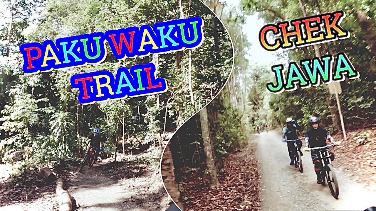 Chek Jawa and Paku Waku Trail