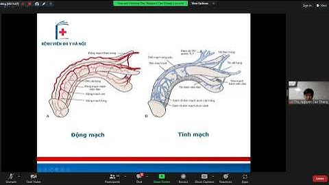 Rối loạn cương dương