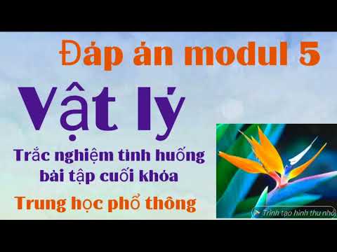 Video Modul 5 THPT môn Vật lý, đáp án trắc nghiệm, tình... - youtube