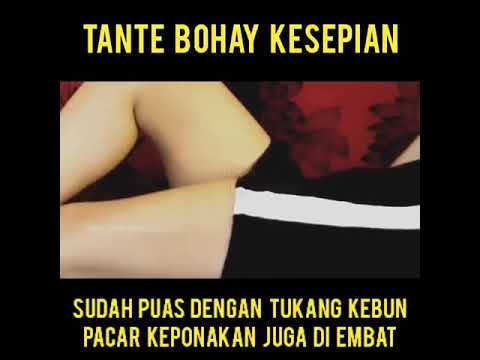 Tante Bohay Kesepian