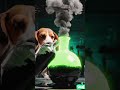 Chemistry Experiment Fail! 🧪 Cat vs Dog Funny Video #Comedy #youtubeshorts #ytshorts #cat #dog