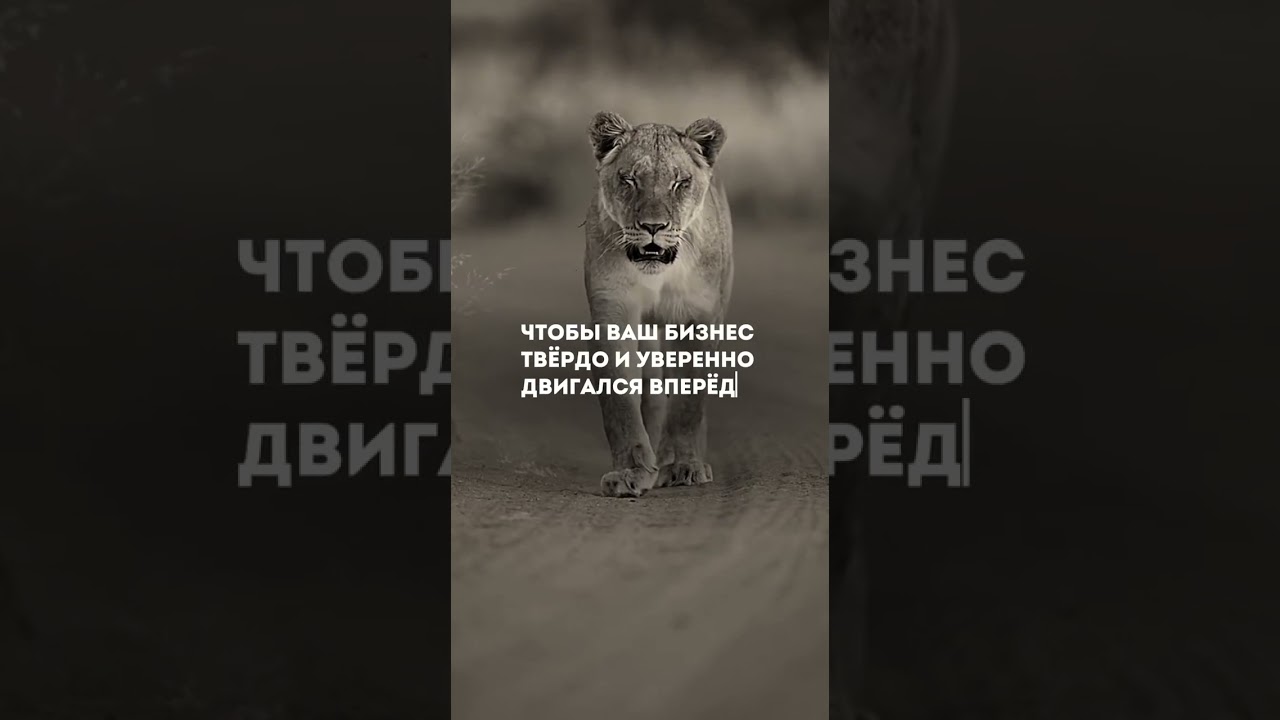 Настройте приём платежей в криптовалюте для стабильного процветания вашего бизнеса