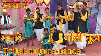 Adiwasi Song || Tribal culture dance 👯 || Gondi dance || Nirupa Vidyalaya Rui || Dhemsa de || Matade