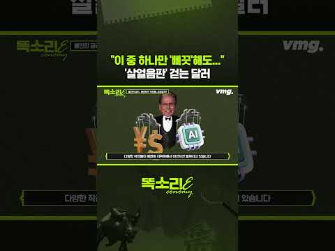 "이 중 하나만 '삐끗'해도..." '살얼음판' 걷는 달러 / 똑소리E / 비디오머그 #shorts thumbnail