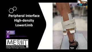 Celebrity Farokh Atashzar — Deep Learning for Human-machine Interface through Peripheral Neural Decoding Net Worth