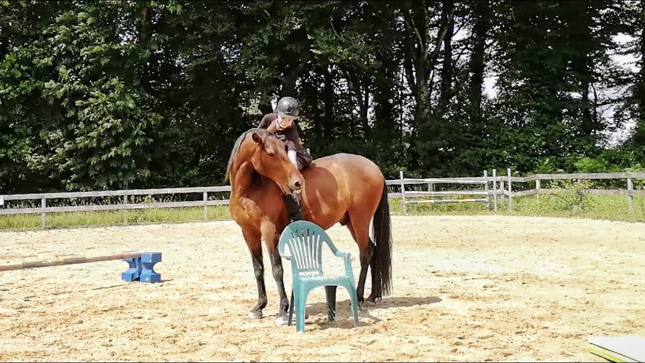 Débourrage de WildSpark #1 : Première fois monté