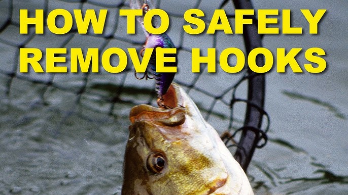 Easy Hook Removal For Gullet and Gut Hooked Fish 