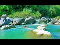Gentle River Serenity – 12H Relaxing Flow for Meditation