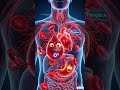“O Positive Blood Group secret 😳 మీలో ఈ traits ఉన్నాయా?”